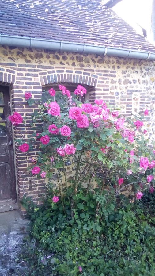 Domaine de Gentilly Saint-Maurice-lès-Charencey Extérieur photo