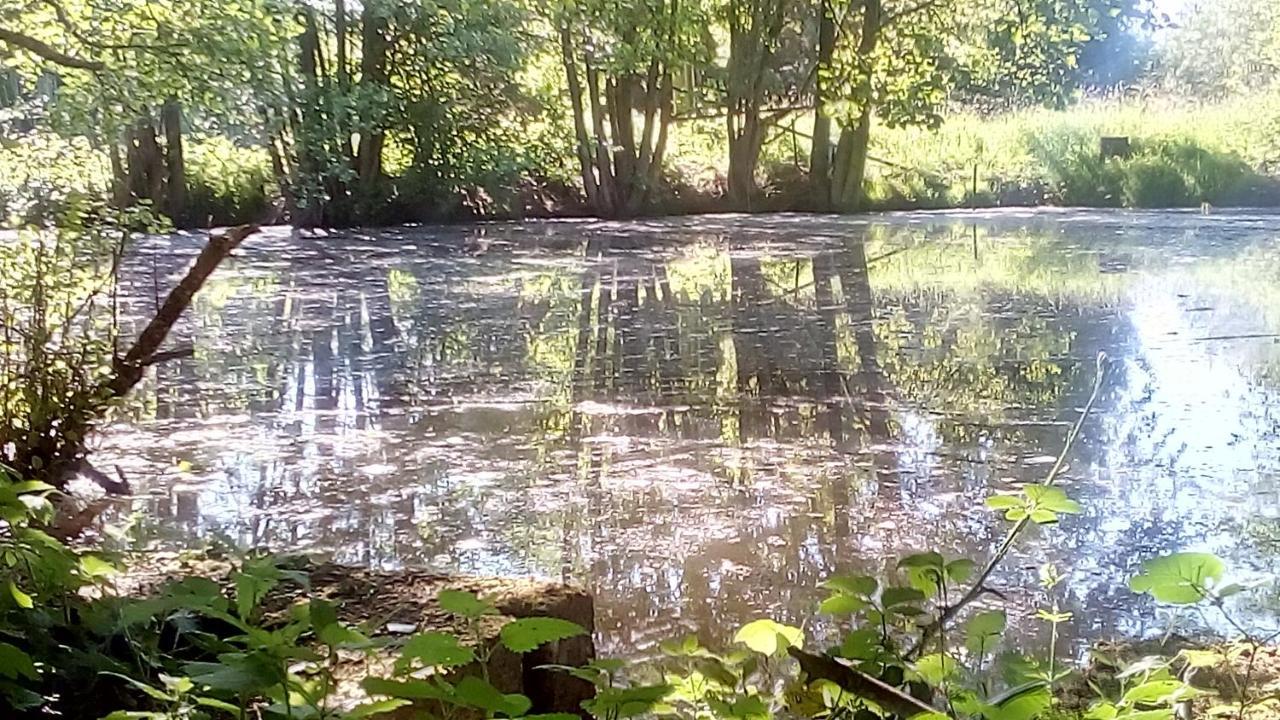 Domaine de Gentilly Saint-Maurice-lès-Charencey Extérieur photo