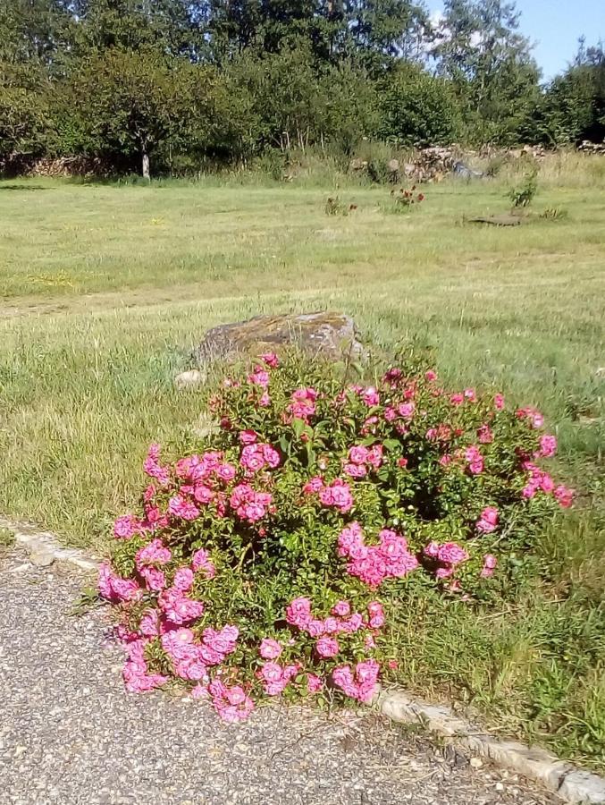 Domaine de Gentilly Saint-Maurice-lès-Charencey Extérieur photo
