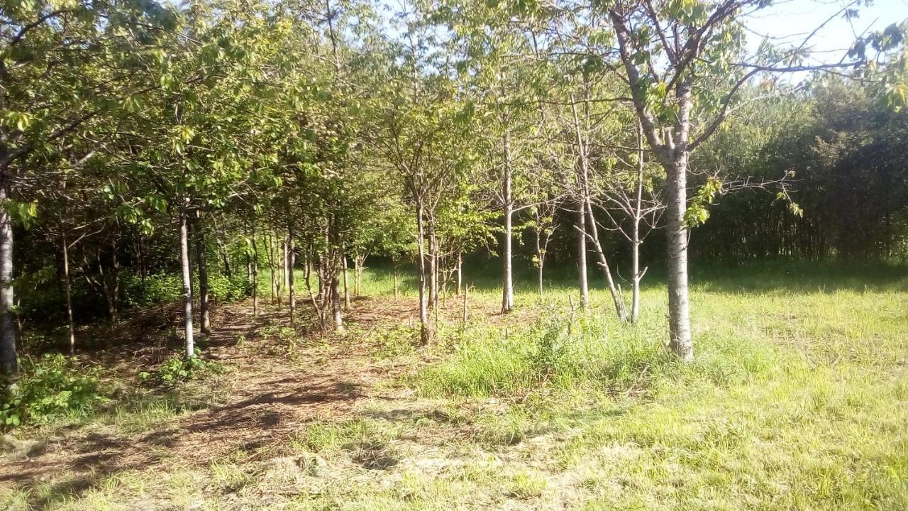 Domaine de Gentilly Saint-Maurice-lès-Charencey Extérieur photo